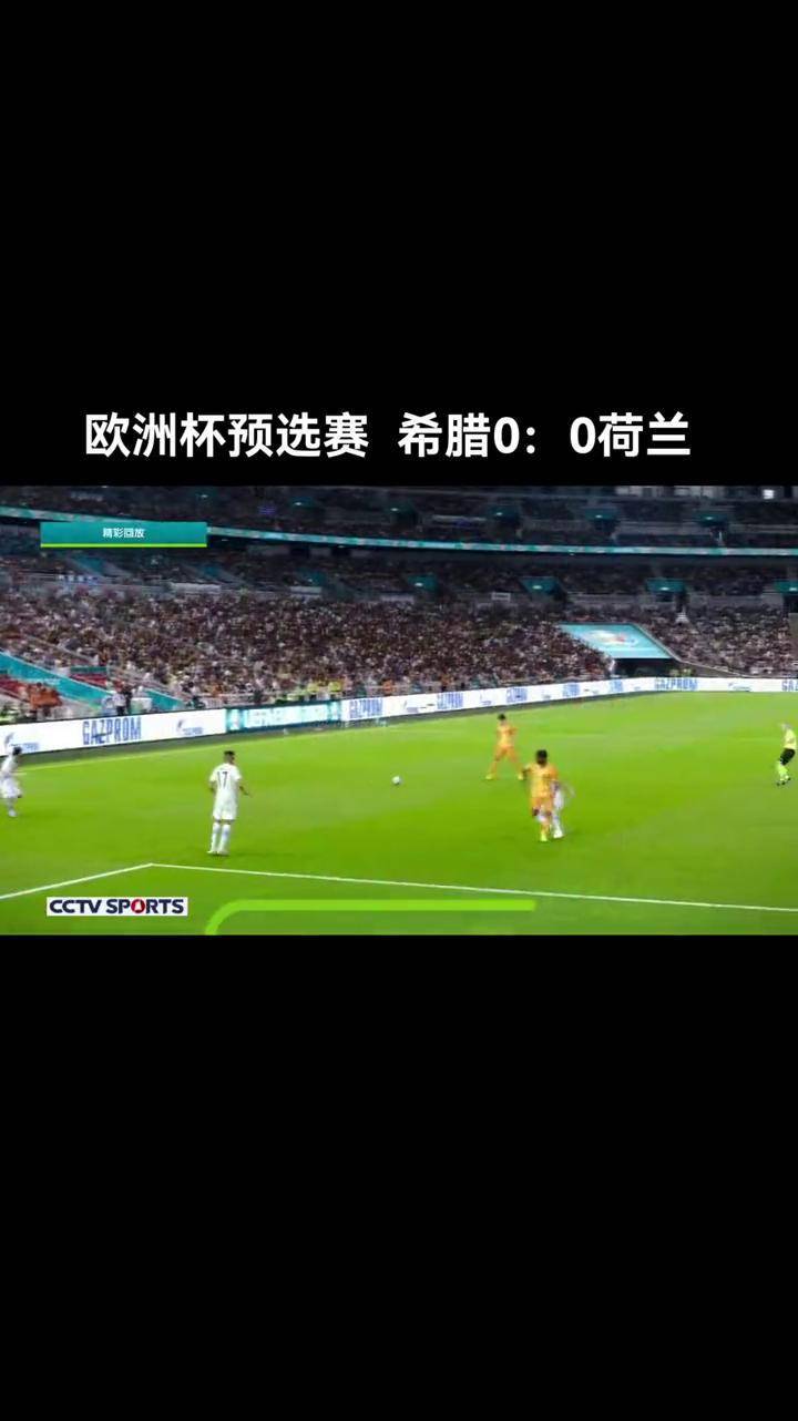 立陶宛队取得关键胜利，成功晋级欧洲杯预选赛的简单介绍