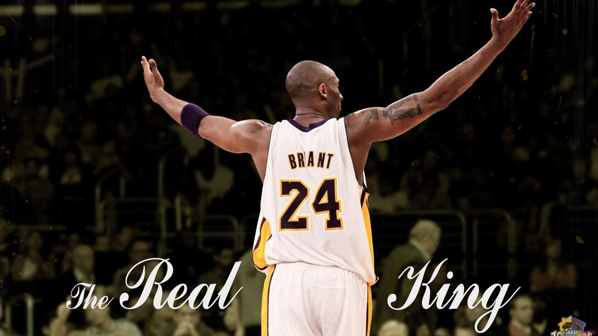 今晚WTT冠军赛前瞻：张本智和伤情更新，辽宁男篮冲击连败纪录